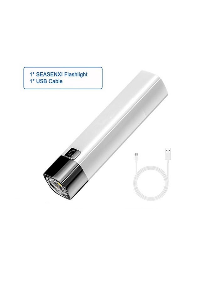 Generic Household Lighting Flashlight  - Image 1