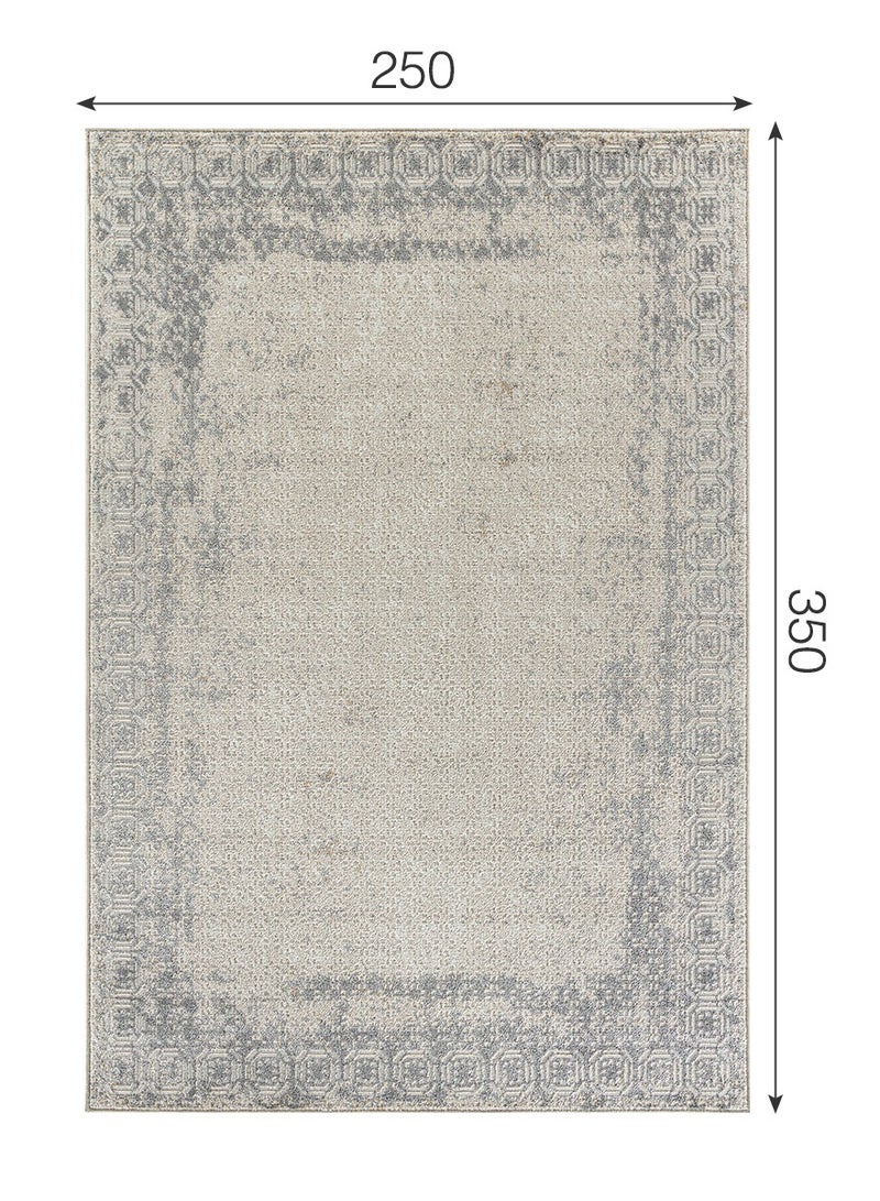 Modern Vintage Style Area Rug Non-Slip Super Soft Touch Living Room Bedroom Floor Decoration Carpet Beige Natural Light Rectangular 250x350 cm  - Image 2