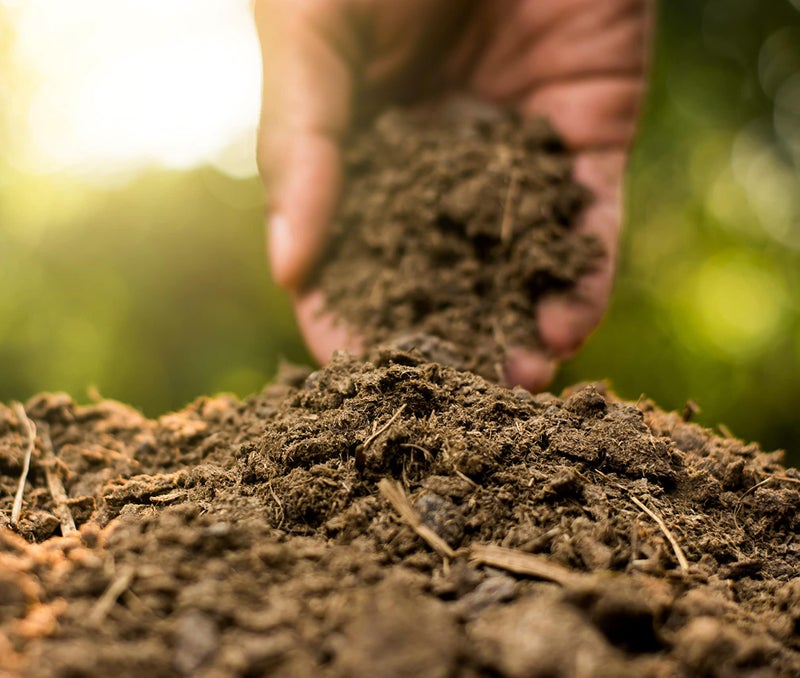 COIR GARDEN - ORGANIC COW DUNG MANURE 5 KG FERTILIZERS FOR PLANTS, VEGETABLES AND HOME GARDENING - Image 2