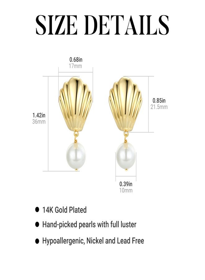 ايه إي لايف أقراط متدلية من الذهب الأصفر على شكل صدفة بحرية - أقراط لؤلؤ مضادة للحساسية للنساء - هدايا مثالية - Image 5