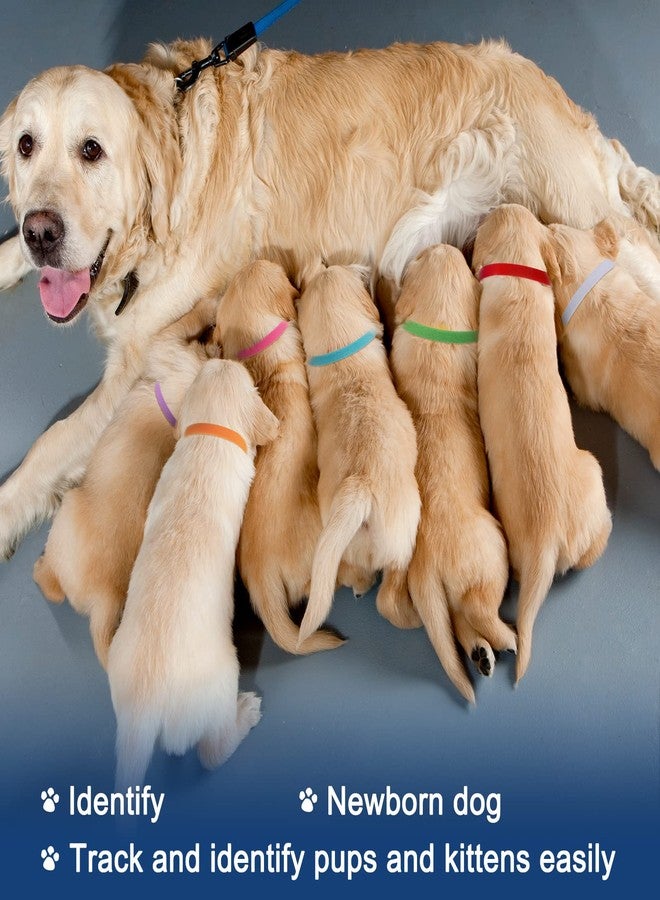 وولاين طوق ولادة الجراء من والين، 20 لونًا، طوق تعريف مزدوج الجوانب قابل للتعديل، أشرطة ناعمة للحيوانات الأليفة حديثة الولادة من الكلاب والقطط، 13.8 بوصة - Image 4