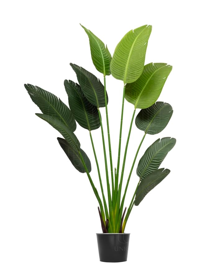 Unique Pots And Plants Banana Alex Artificial Tree H180CM  - Image 2