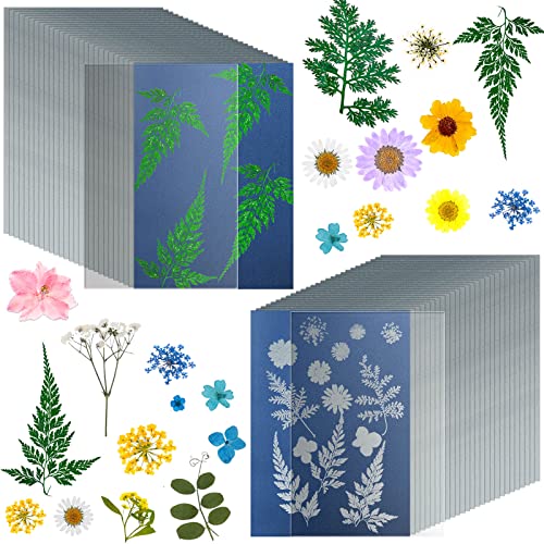 Mckanti 38 Sheets Cyanotype Sun Print Kit With 2 Clear Acrylic Sheets - High Sensitivity Solar Drawing Paper for Nature Printing - A5 Size (5.8 x 8.3 Inch) - DIY Arts and Crafts for Adults and Kids - Image 1