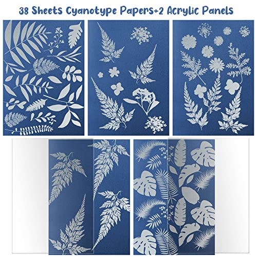 Mckanti 38 Sheets Cyanotype Sun Print Kit With 2 Clear Acrylic Sheets - High Sensitivity Solar Drawing Paper for Nature Printing - A5 Size (5.8 x 8.3 Inch) - DIY Arts and Crafts for Adults and Kids - Image 2
