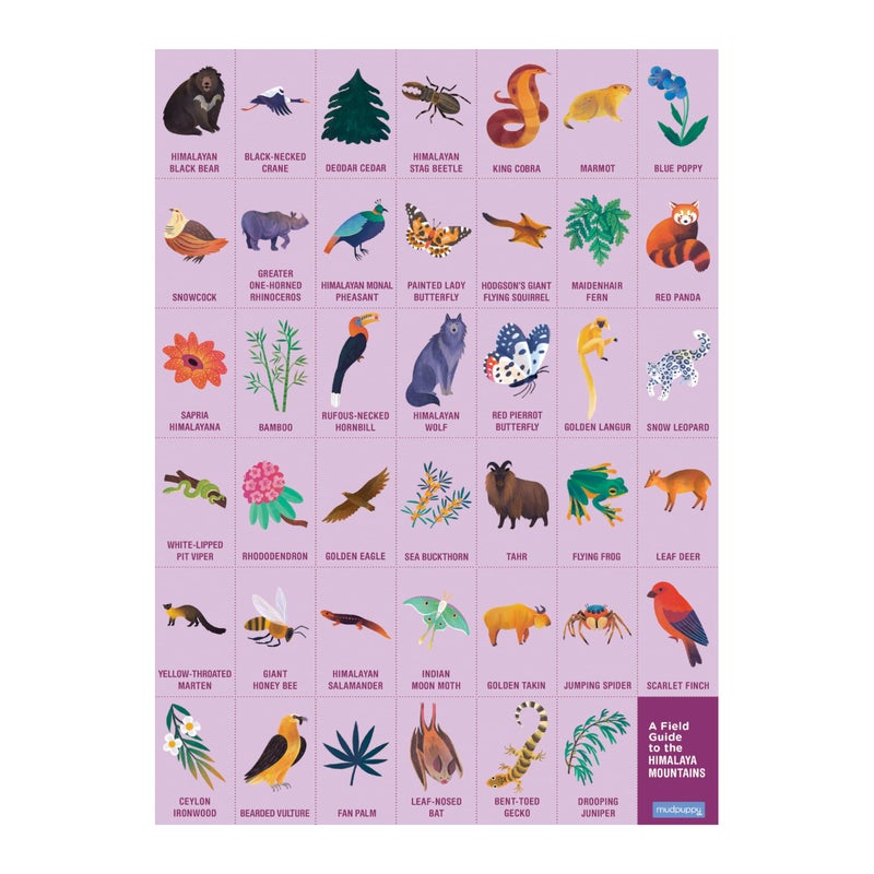 Mudpuppy مادباي في الجبال — 64 قطعة لغز البحث والعثور على الألغاز مع حيوانات جبلية هيمالايا متنوعة وأكثر من 40 صورة مخفية للعثور عليها للأعمار من 4 سنوات فما فوق - Image 3