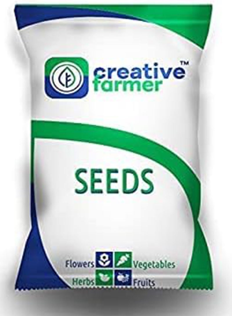 GGOOT Flower Seeds : Pouch Nemesia Seeds for Terrace Garden   Garden Flower Seeds Pack - Image 3