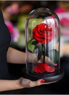 Vitacelli 1 Pc Red Preserved Rose Forever Never Withered Flowers Best Gift for Her  - Image 2