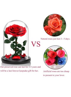 Vitacelli 1 Pc Red Preserved Rose Forever Never Withered Flowers Best Gift for Her  - Image 4