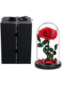 Vitacelli 1 Pc Red Preserved Rose Forever Never Withered Flowers Best Gift for Her  - Image 1