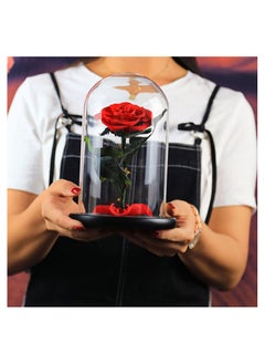 Vitacelli 1 Pc Red Preserved Rose Forever Never Withered Flowers Best Gift for Her  - Image 3
