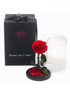Vitacelli 1 Pc Red Preserved Rose Forever Never Withered Flowers Best Gift for Her  - Image 5