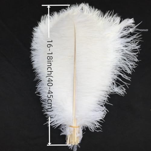 Sowder 5pcs Ostrich Feathers 16-18inch(40-45cm) Home Wedding Decoration(White) - Image 3