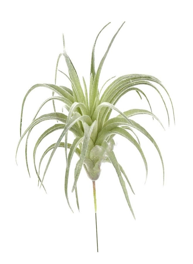 EBUYOM 2 PCS Artificial Succulents Plants Unpotted Fake Flocking Tillandsia Air Plants Succulent Bromeliads Bouquet Arrangements Faux Plants DIY for Garden Terrarium Decor Home Decoration Green - Image 3