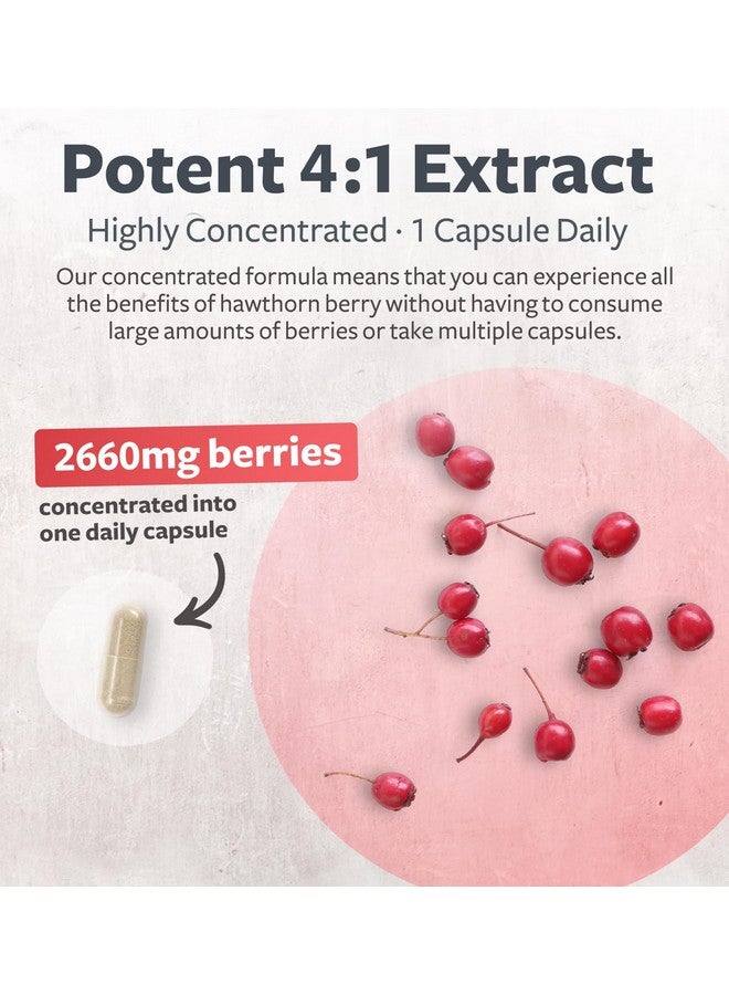 Healths Harmony Super Potent Hawthorn Berry Extract Capsules - Hawthorn Berry Supplement Made from Extra Strength Concentrate to Support Heart and Digestive Health - Vegan Non-GMO & Gluten Free (6 Month Supply) - Image 3