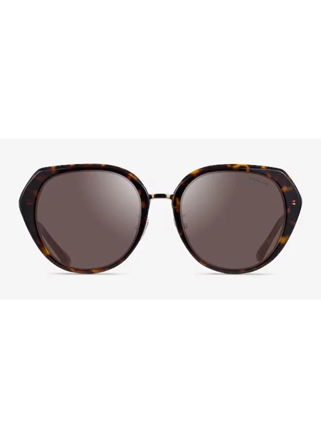 COACH Rectangle Sunglasses