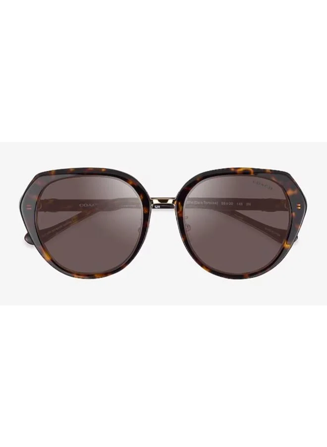COACH  Rectangle Sunglasses for Women | Best Price UAE