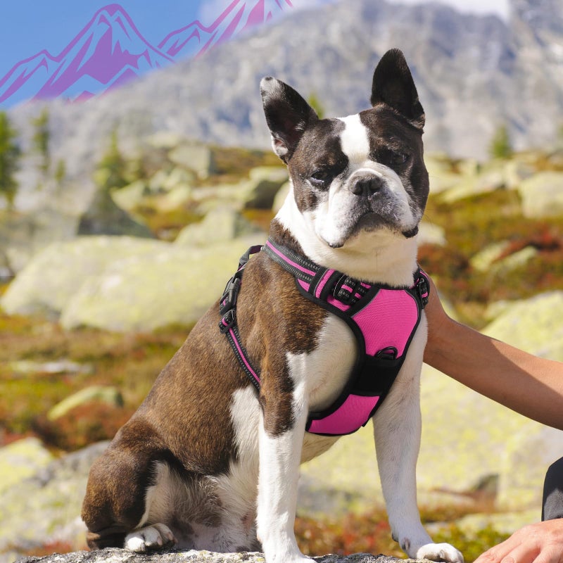 Eagloo Dog Harness Medium Sized Dog, No Pull Service Vest with Reflective Strips and Control Handle, Adjustable and Comfortable for Walking, No Choke Pet Harness with 2 Metal Rings, Rose Red, M - Image 2