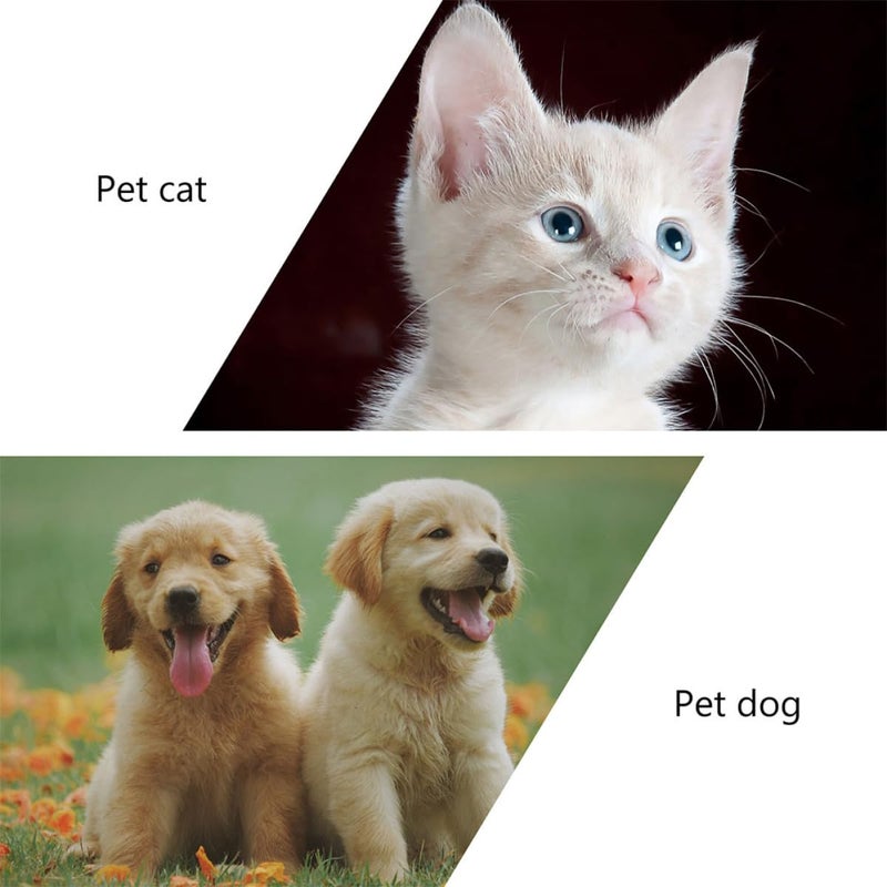 2Pcs Pet Eye Cleaning Brush Soft Grooming Comb For Dogs Cats Tear Stain Removal - Image 4