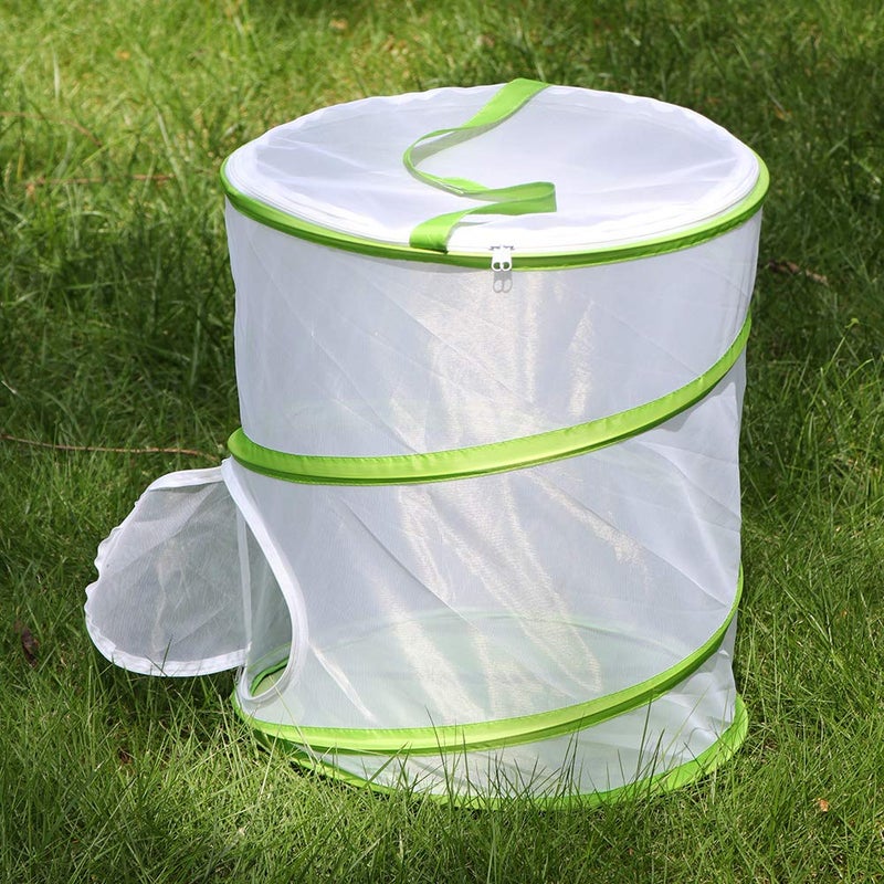 RESTCLOUD Insect and Butterfly Habitat Cage Terrarium Pop-up 12" x 14" Tall - Image 4