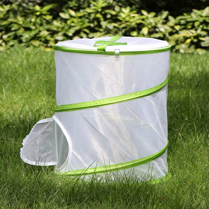 RESTCLOUD Insect and Butterfly Habitat Cage Terrarium Pop-up 12" x 14" Tall - Image 5