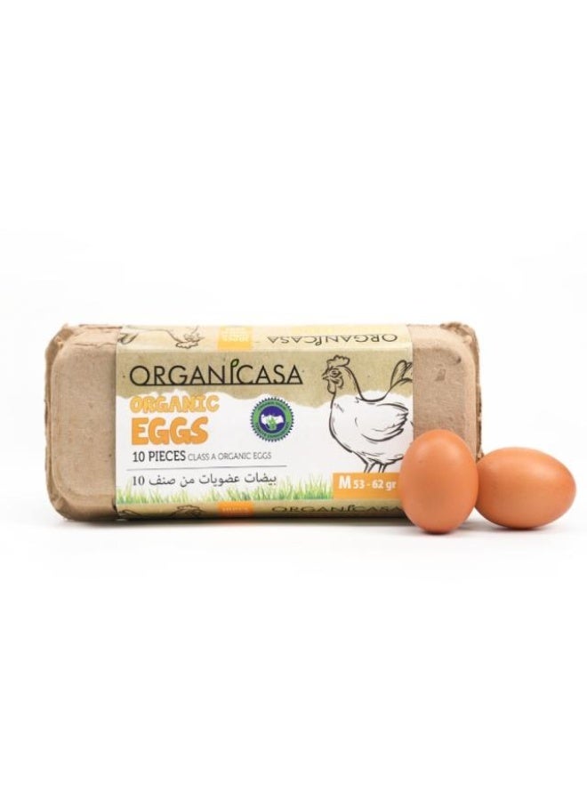 Eggs, Medium Brown - 10 pcs, Turkey
