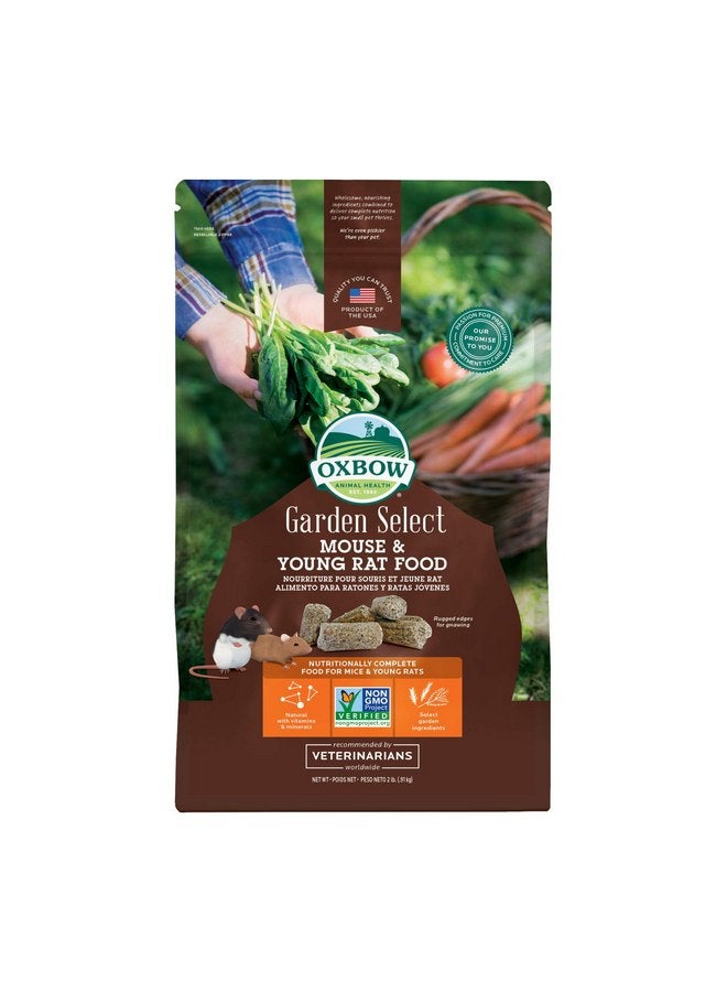 أوكسبو طعام أوكسبو أنيمال هيلث جاردن سيليكت للفئران والجرذان الصغيرة، وصفة مستوحاة من الحديقة للجرذان والفئران الصغيرة من جميع الأعمار، خالٍ من الكائنات المعدلة وراثيًا، صنع في الولايات المتحدة الأمريكية، كيس بوزن 2 رطل - Image 1