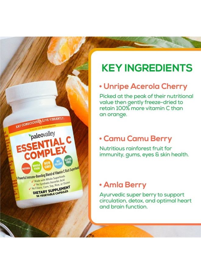 Paleovalley مركب فيتامين سي الأساسي - مكمل فيتامين سي لدعم المناعة - عبوة واحدة، 450 مجم - أطعمة خارقة عضوية من الكرز الأسيولا غير الناضج، والكامو كامو، وتوت الأملا - بدون حمض الأسكوربيك الصناعي - صنع في الولايات المتحدة الأمريكية - Image 5