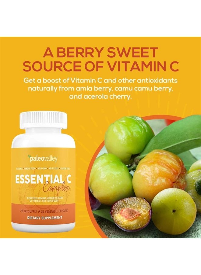 Paleovalley مركب فيتامين سي الأساسي - مكمل فيتامين سي لدعم المناعة - عبوة واحدة، 450 مجم - أطعمة خارقة عضوية من الكرز الأسيولا غير الناضج، والكامو كامو، وتوت الأملا - بدون حمض الأسكوربيك الصناعي - صنع في الولايات المتحدة الأمريكية - Image 4