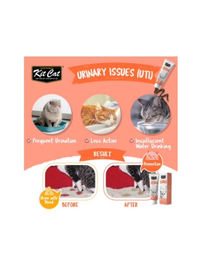 Kit Cat Cat Vitamins & Nutritional Paste for Urinary Tract Support - 120g - Daily Cranberry Formula - Image 2