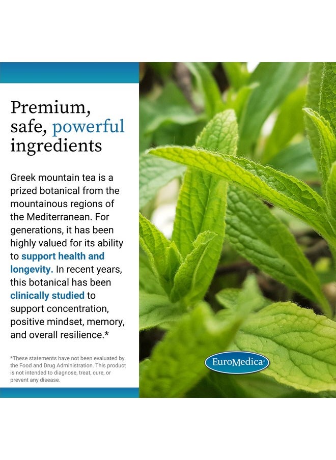 Euromedica - Euromedica Cognitive Health Plus - Healthy Brain Supplement to Support Focus & Memory - Non-GMO & Vegan Supplement with Greek Mountain Tea & Botanicals - 30 Capsules (30 Servings) - Image 1
