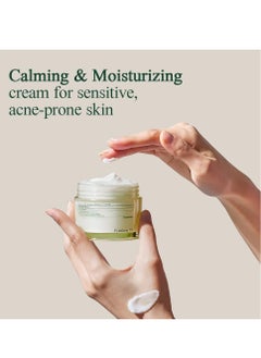 PYUNKANG YUL Pyunkang Yul [PKY] Calming Moisture Barrier Cream Instantly Soothes Sensitive Skin, Hyaluronic Acid & Ceramide for Hydration, Vegan, Korean Skincare (1.69 Fl. Oz, 50ml)  - Image 3