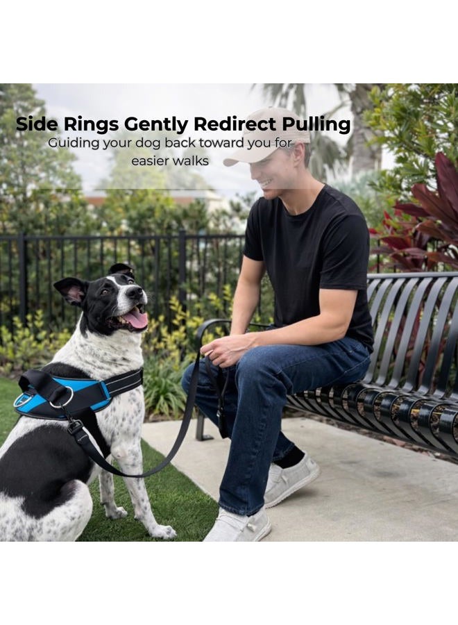 ShawnCo Essential Dog Harness, No-Pull Pet Vest with 3 Leash Clips, No Choke, Reflective, Adjustable and Padded, for Easy Walking and Training for Small, Medium and Large Dogs (Midnight, XL) - Image 3