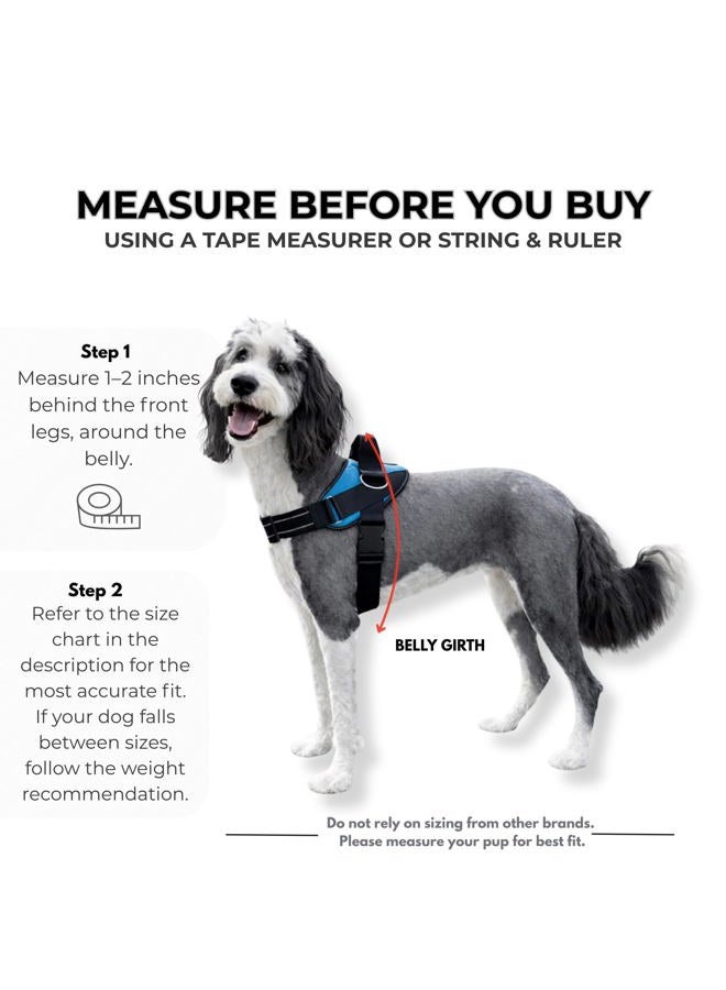 ShawnCo Essential Dog Harness, No-Pull Pet Vest with 3 Leash Clips, No Choke, Reflective, Adjustable and Padded, for Easy Walking and Training for Small, Medium and Large Dogs (Midnight, XL) - Image 5