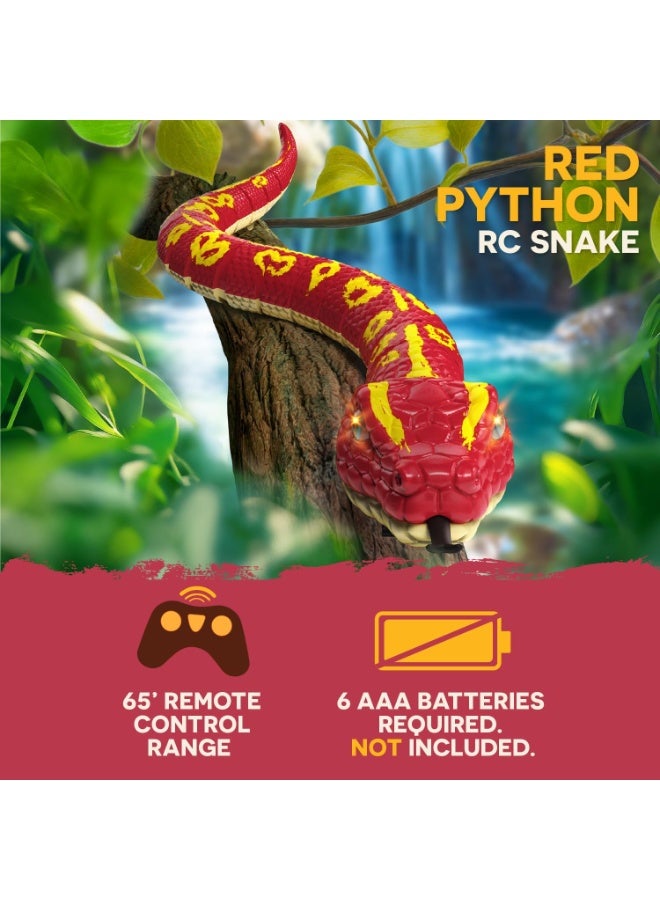 Terra RC Giant Red Python AN2947Z - Image 2