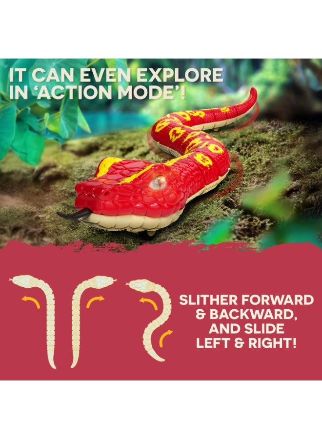 Terra RC Giant Red Python AN2947Z - Image 3