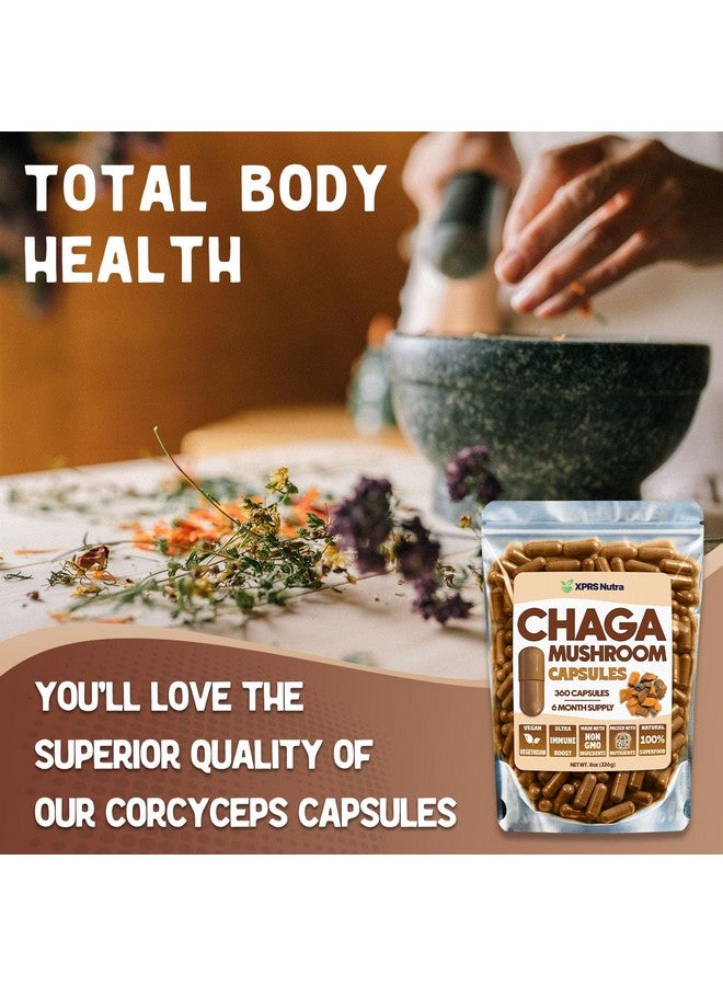 XPRS Nutra Chaga Mushroom Capsules - Premium USDA Chaga Mushrooms Capsules- Encapsulated Chaga Mushroom Powder for an Immunity Boost - Vegan Friendly Superfood for Chaga Tea and Beverages - 360 Count - Image 3