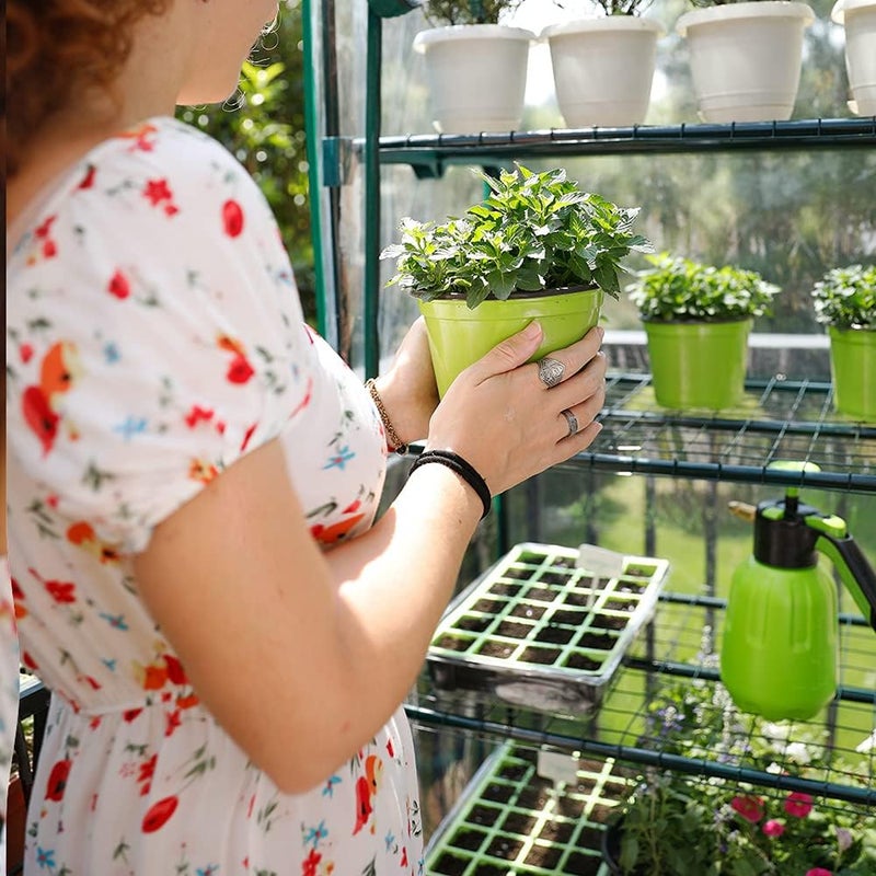 WORTH Garden 4 Tier Mini Greenhouse - 63'' H x 27'' L x 19'' W - Sturdy Portable Gardening Shelves with PVC Cover - Small Green House Use in Indoor & Outdoor for Plants Flowers - Image 2