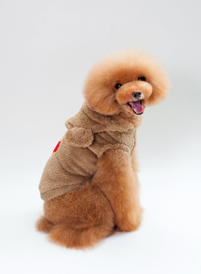 Loquat A pet dog wears a coat and a hat Brown - Image 2