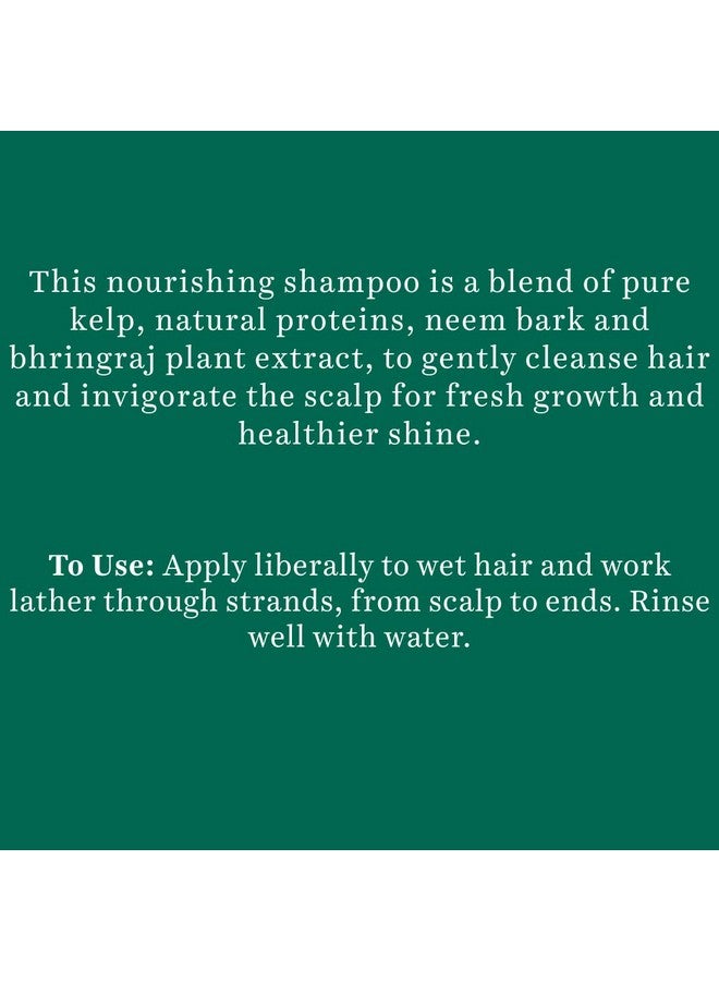 Biotique Hair Shampoo (Ocean Kelp 340 Ml) - Image 3