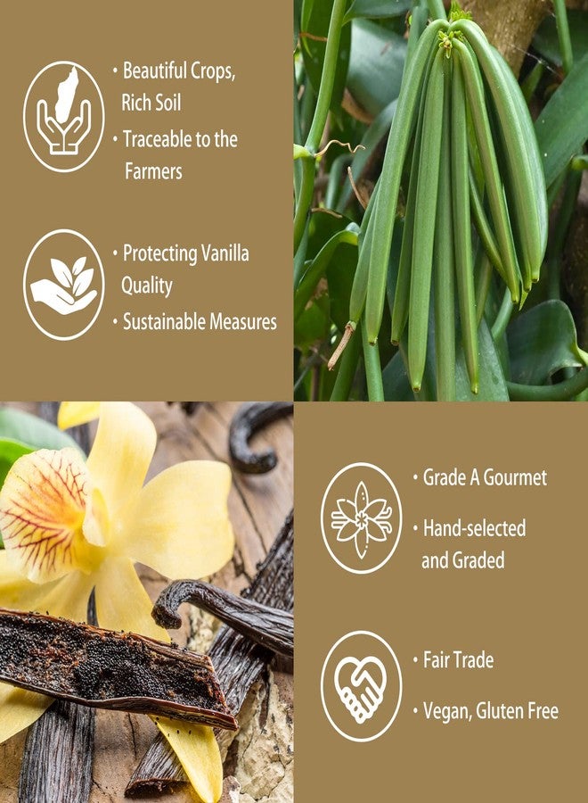 GRELIM Vanilla Bean Powder, 100% Pure Ground Madagascar Vanilla Powder Gluten-Free No Fillers or Additives Great for Baking, Coffee, Smoothies 2.11 Oz (60 g) - Image 4