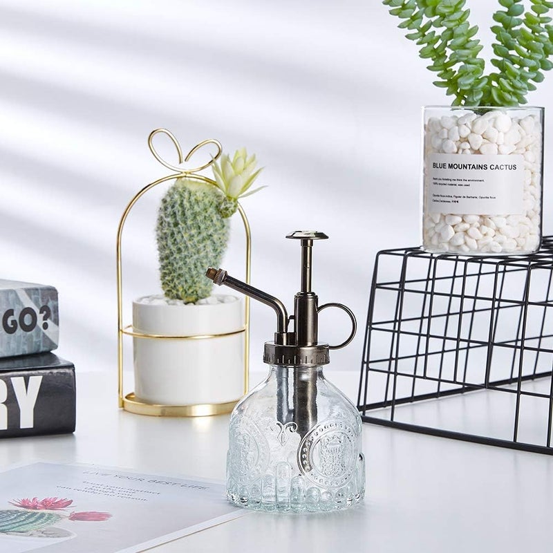 Ebristar Glass Plant Mister Spray Bottle, 6.5" Tall Vintage Plant Spritzer Watering Can, Succulent Watering Bottle with Top Pump, Small Plant Sprayer Mister for Indoor Outdoor Houseplant - Clear - Image 5