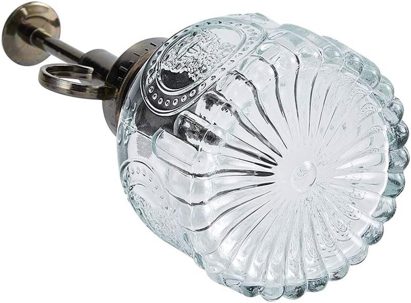 Ebristar Glass Plant Mister Spray Bottle, 6.5" Tall Vintage Plant Spritzer Watering Can, Succulent Watering Bottle with Top Pump, Small Plant Sprayer Mister for Indoor Outdoor Houseplant - Clear - Image 3
