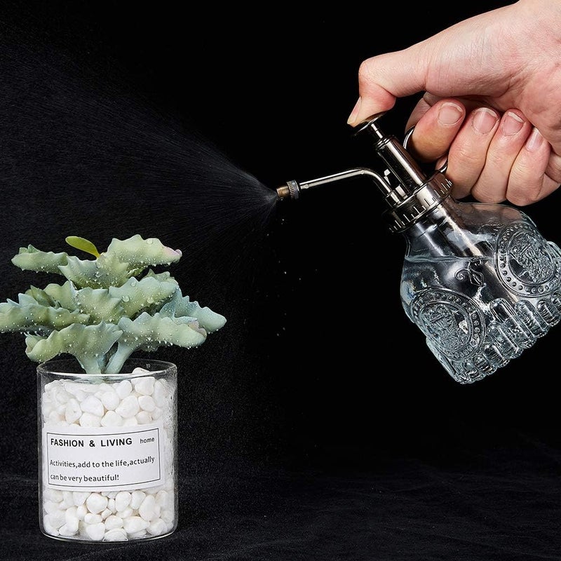Ebristar Glass Plant Mister Spray Bottle, 6.5" Tall Vintage Plant Spritzer Watering Can, Succulent Watering Bottle with Top Pump, Small Plant Sprayer Mister for Indoor Outdoor Houseplant - Clear - Image 4