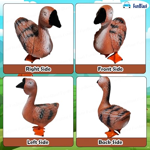 FunBlast Realistic DuckToy for Kids - Amazing Look My Farm Animal Figure Playset Toy for Kid 3+Years Old, Birthday Gift for Kids, Boys, Girls - Image 5