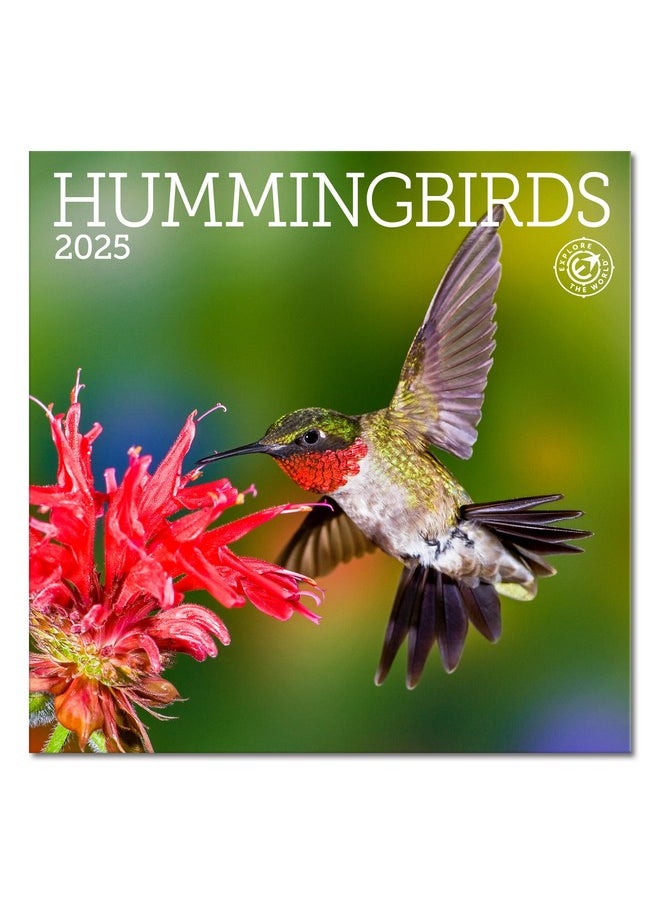 Ziga Media Hummingbirds Mini Wall Calendar 2025, 7" X 7"  - Image 1