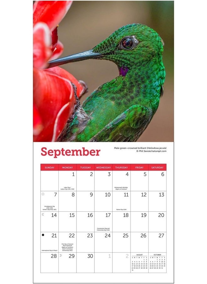 Ziga Media Hummingbirds Mini Wall Calendar 2025, 7" X 7"  - Image 3