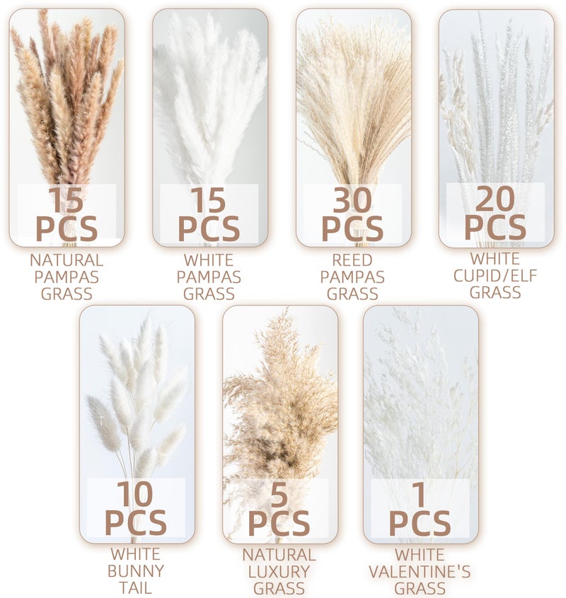 WILD AUTUMN 96PCS Natural Dried Pampas Grass Boho Home Decor Bouquet Phragmites Dried Flowers Bouquet for Wedding Floral Arrangements Home Decorations (96PCS) - Image 4