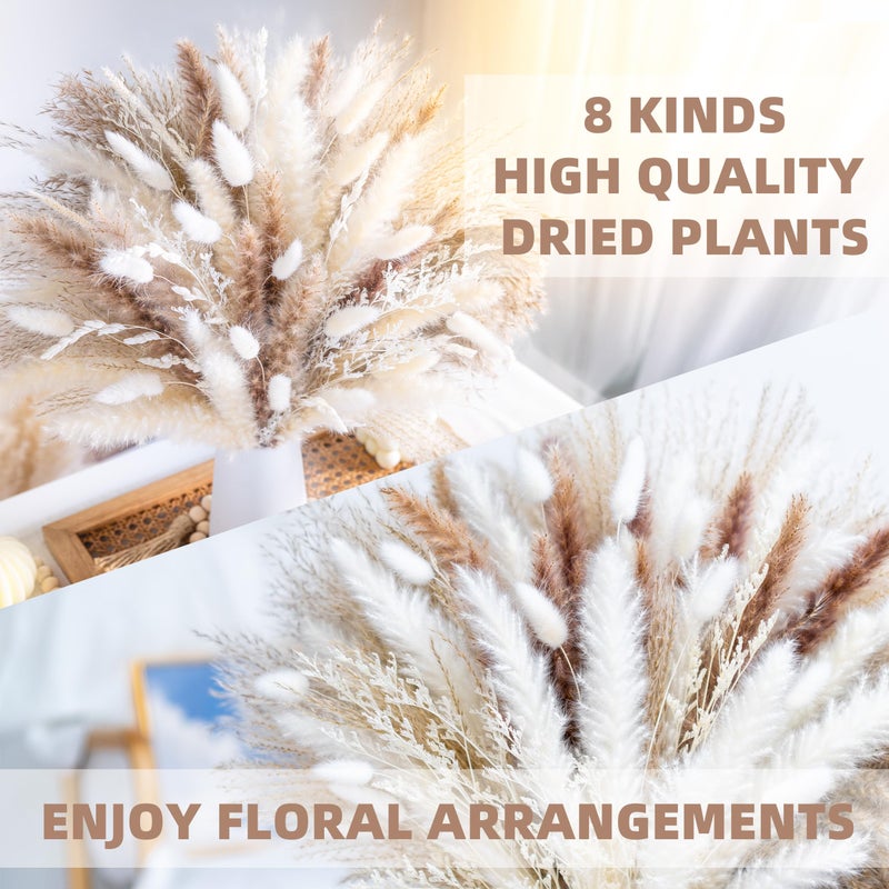 WILD AUTUMN 96PCS Natural Dried Pampas Grass Boho Home Decor Bouquet Phragmites Dried Flowers Bouquet for Wedding Floral Arrangements Home Decorations (96PCS) - Image 5