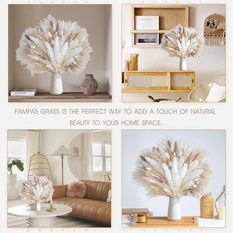 WILD AUTUMN 96PCS Natural Dried Pampas Grass Boho Home Decor Bouquet Phragmites Dried Flowers Bouquet for Wedding Floral Arrangements Home Decorations (96PCS) - Image 3