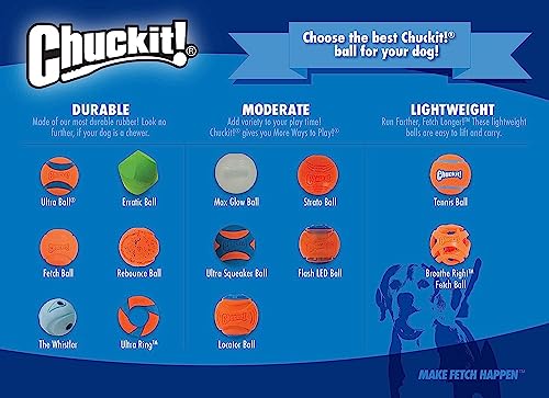 ChuckIt! High-Bounce Rubber Fetch Ball, Small (Colors Vary) 2 Pack - Image 5